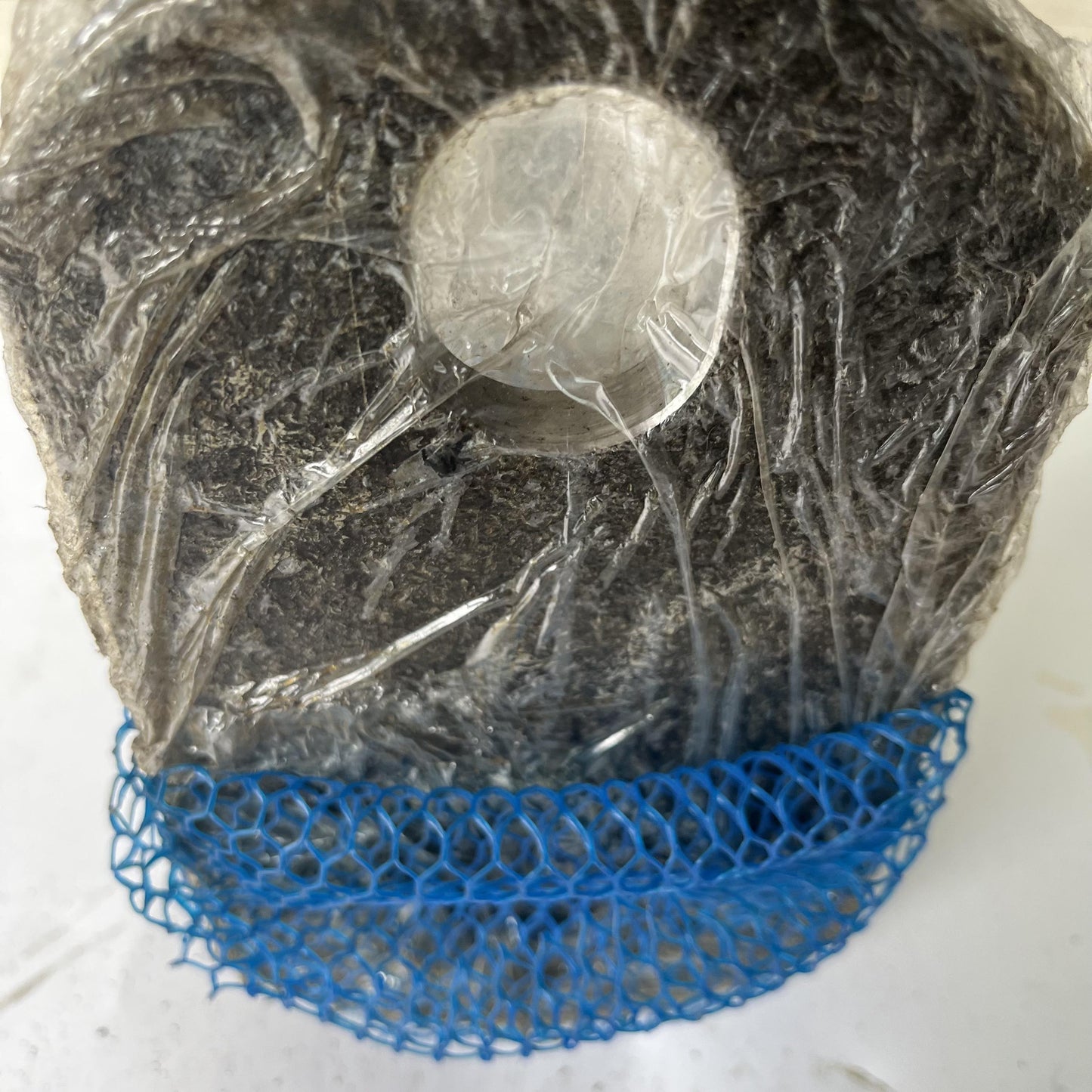 1V8954 Caterpillar PIN