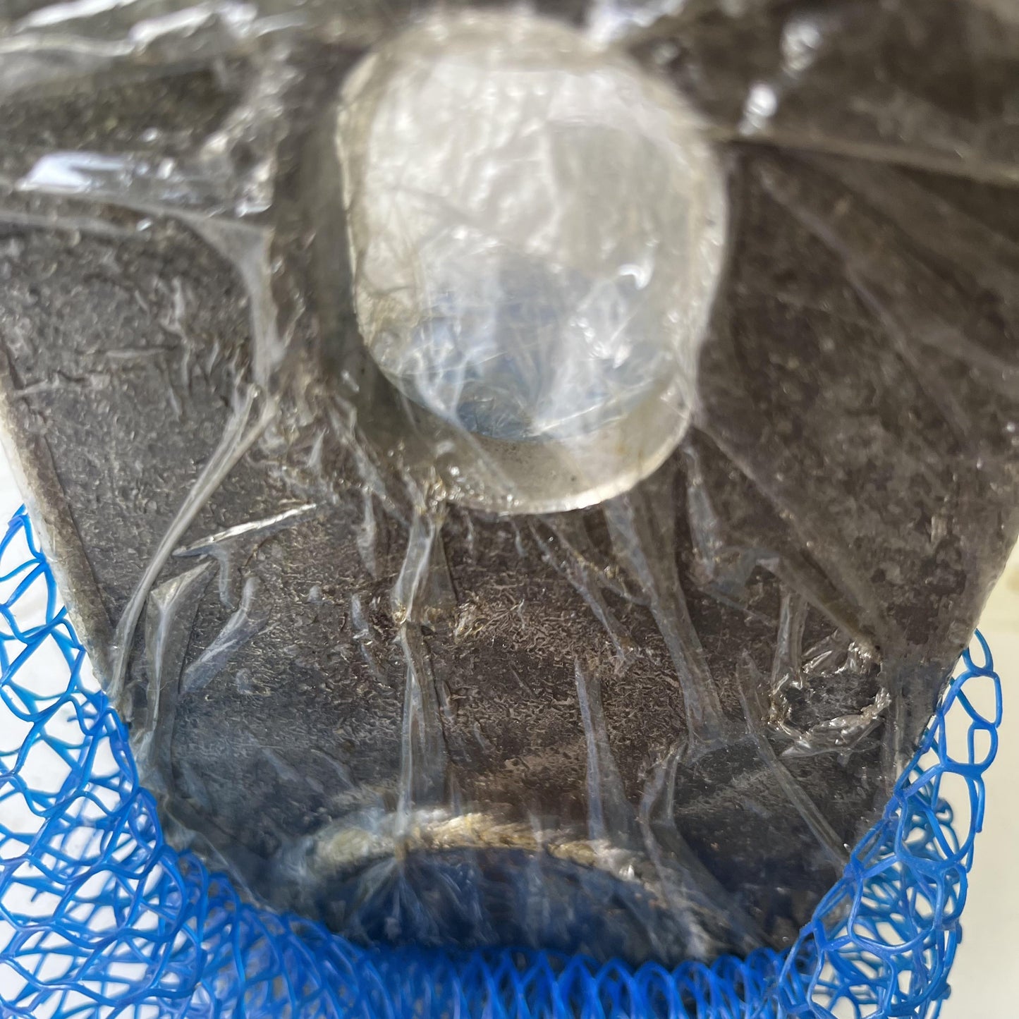 4V7099 Caterpillar PIN