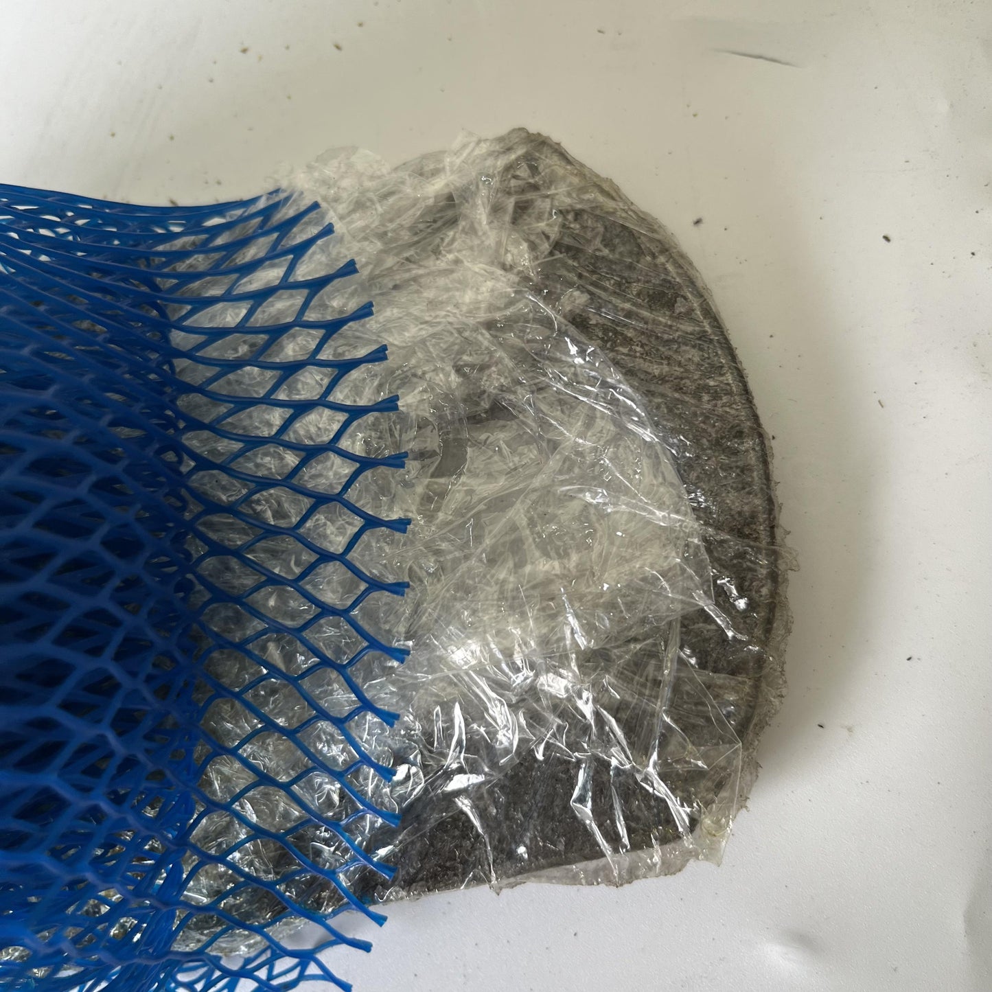 4V7105 Caterpillar PIN